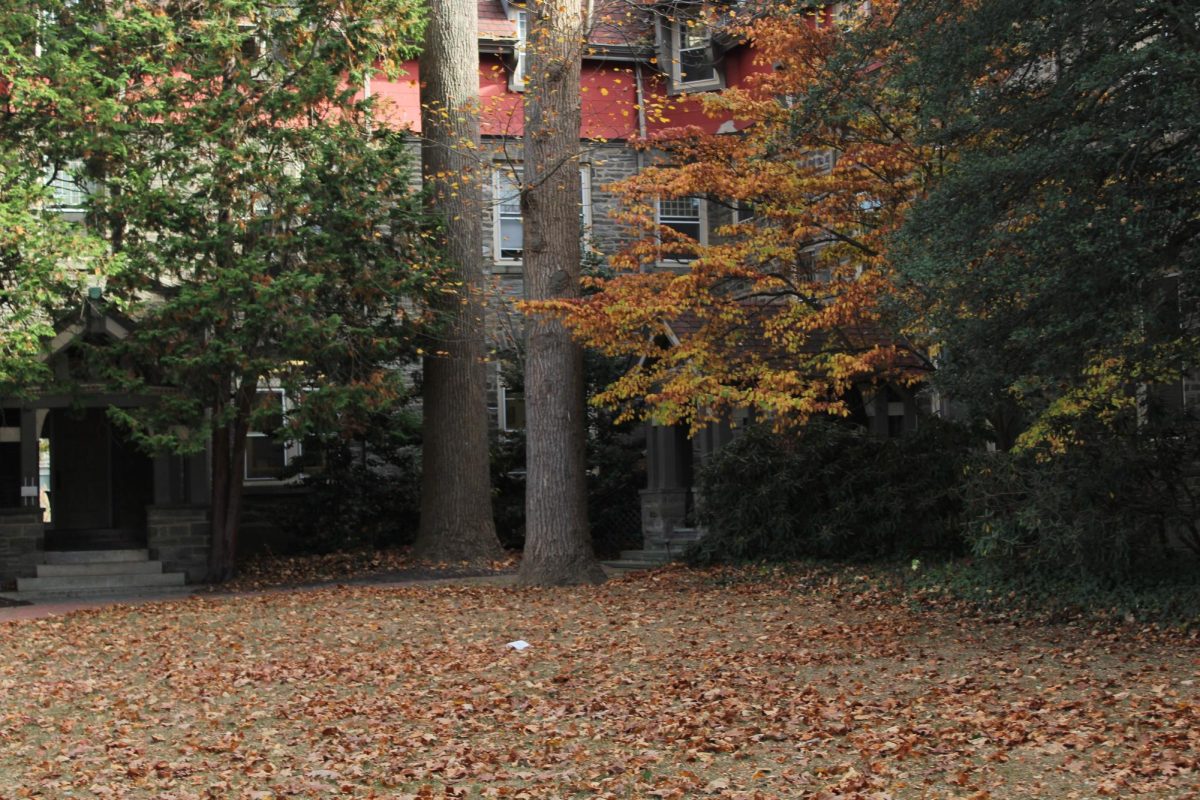 Fall fills the empty Courtyard with leaves. The Courtyard is usually an empty green space, yet around fall, it's filled with crunching and colors.