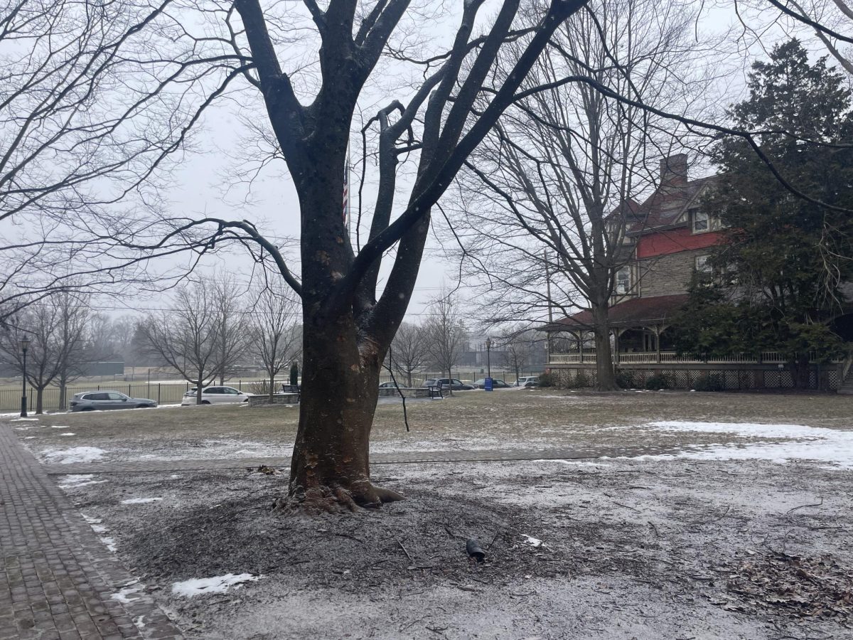 During Winter, gray skies and snowy grounds have led to a calming feeling throughout the campus