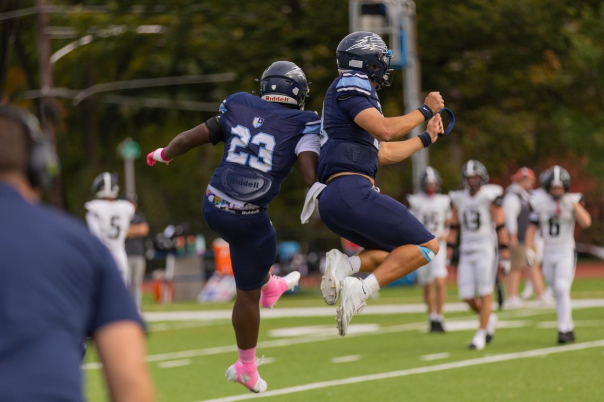 Zelman and Willis celebrate a big play.